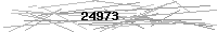 Verification Image
