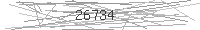 Verification Image