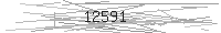 Verification Image