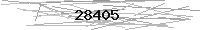 Verification Image