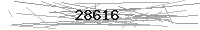 Verification Image
