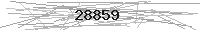 Verification Image