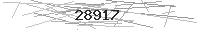 Verification Image