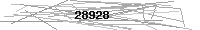 Verification Image