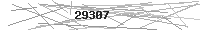 Verification Image