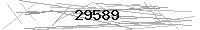 Verification Image