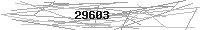 Verification Image