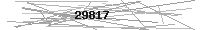 Verification Image