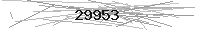 Verification Image